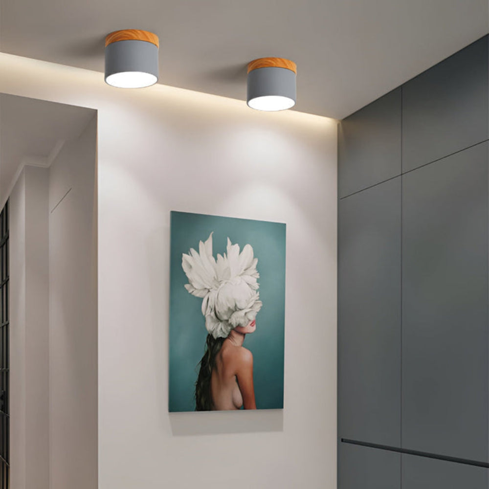 ChromaBeam – Cilindervormige plafondlamp